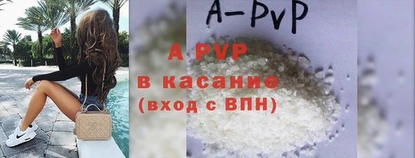 индика Богородицк
