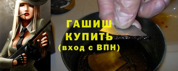 индика Богородицк