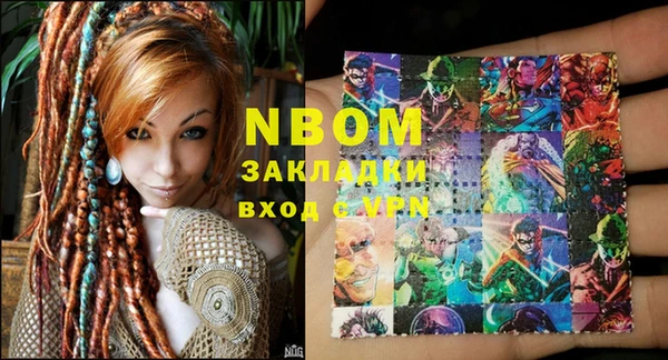 индика Богородицк