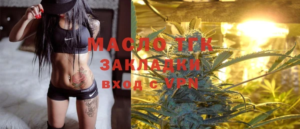индика Богородицк