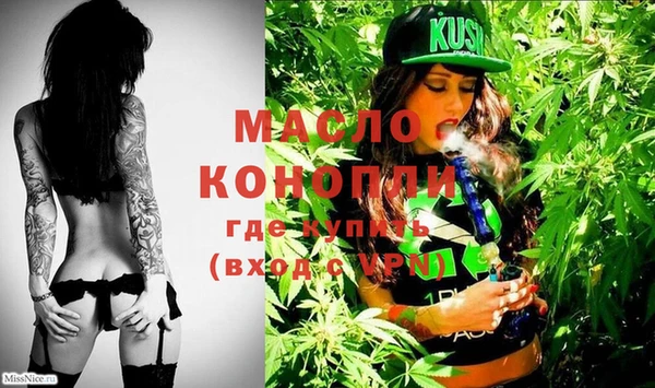 индика Богородицк