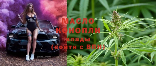 индика Богородицк