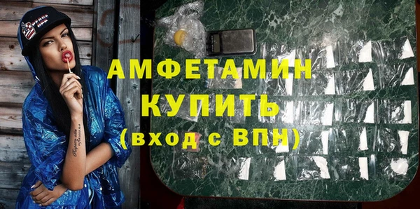 индика Богородицк