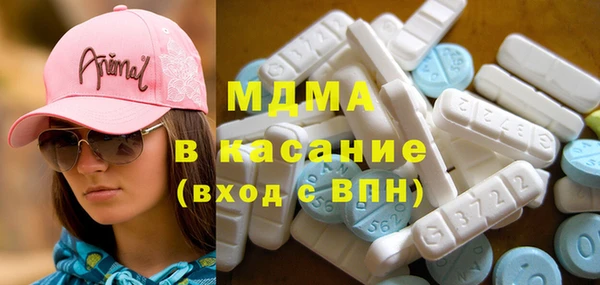 индика Богородицк