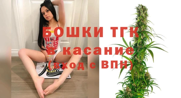 индика Богородицк