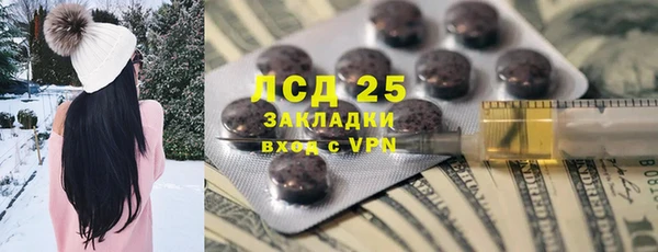 индика Богородицк