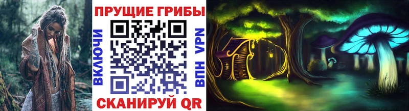 KRAKEN   Бийск  Псилоцибиновые грибы Psilocybe  наркотики 