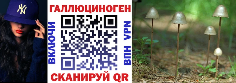 Галлюциногенные грибы мицелий Бийск